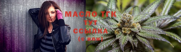 твердый Краснослободск