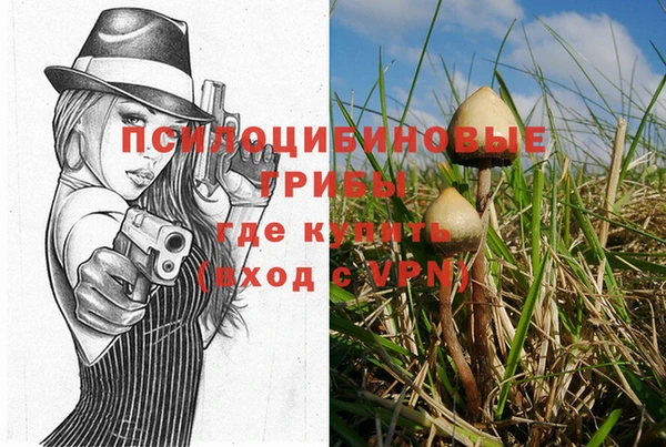 ешки Красноперекопск