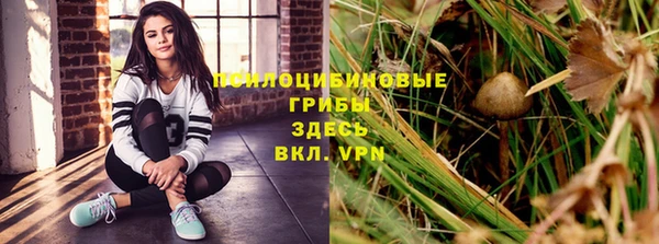 твердый Краснослободск