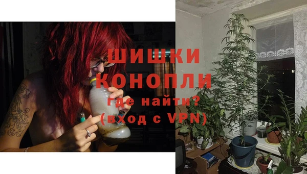 твердый Краснослободск