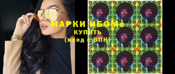 твердый Краснослободск